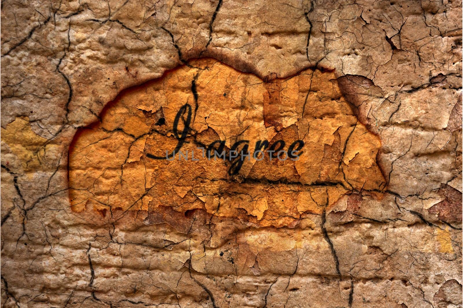 I agree text on grunge background
