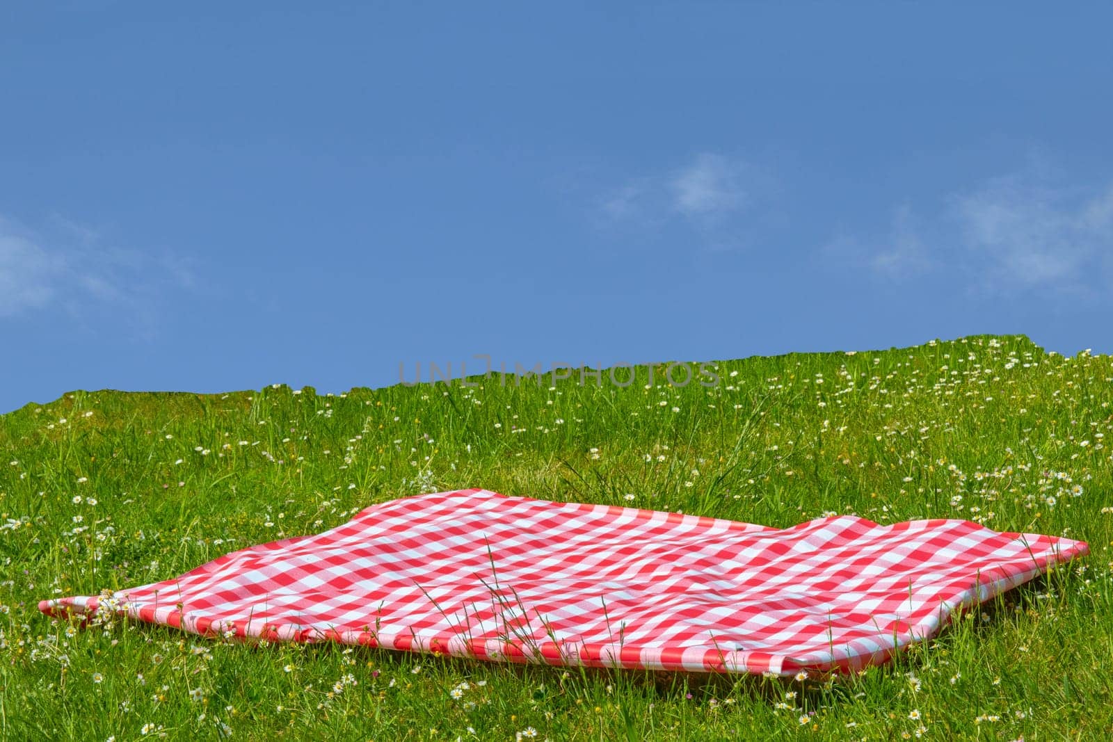 Red picnic cloth. Red checked picnic blanket on a meadow with daisies in bloom and cloudy sky. Beautiful backdrop for your product placement or montage.