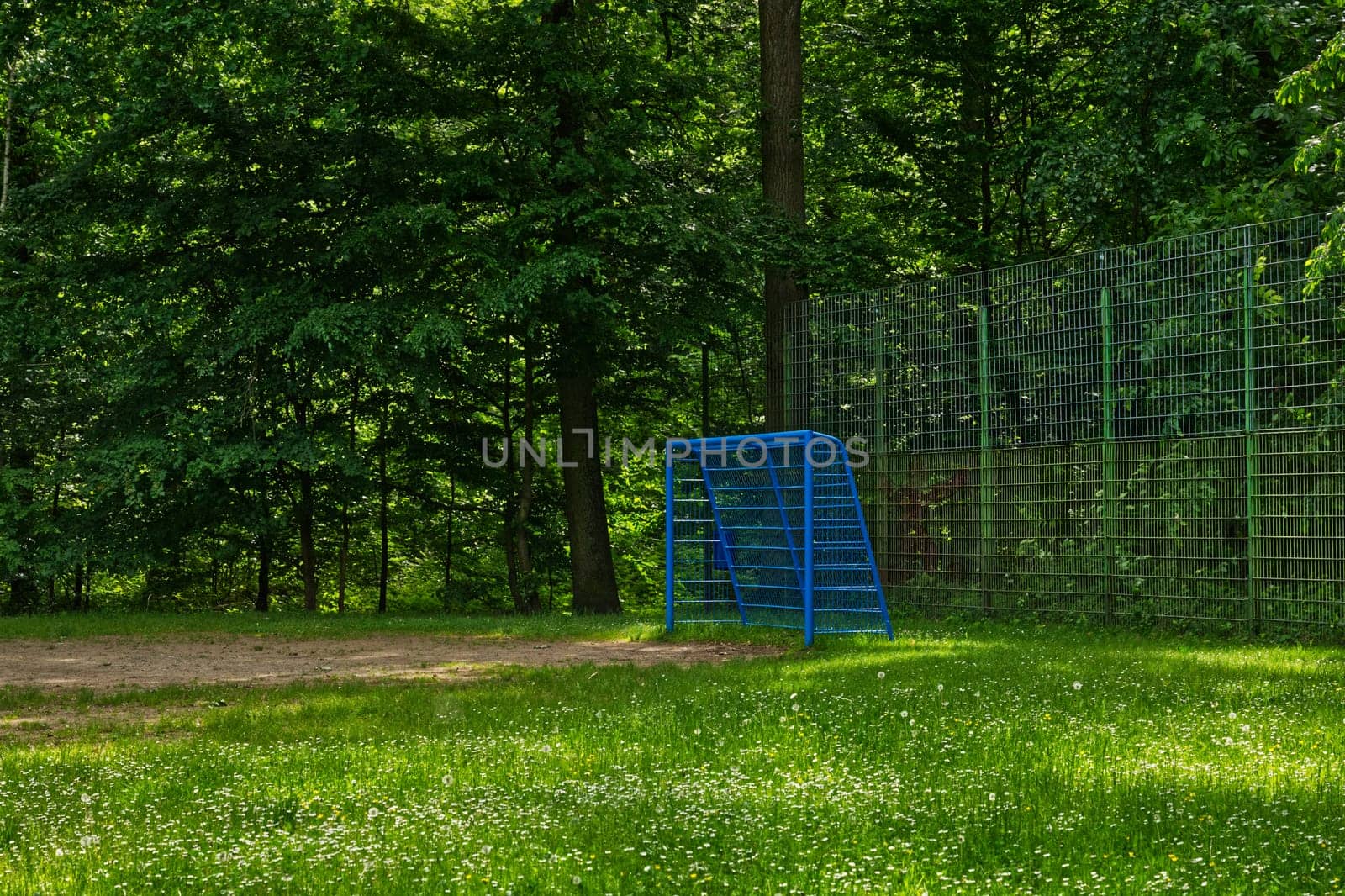 football field in the summer forest, atmospheric and idyllic light, the goal is colored in blue, builds a nice contrast to the green of the meadow