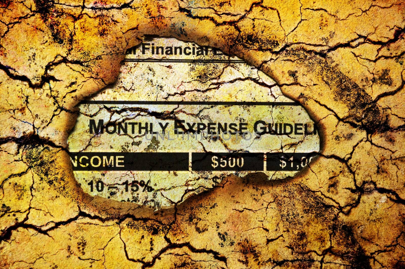 Monthly budget plan