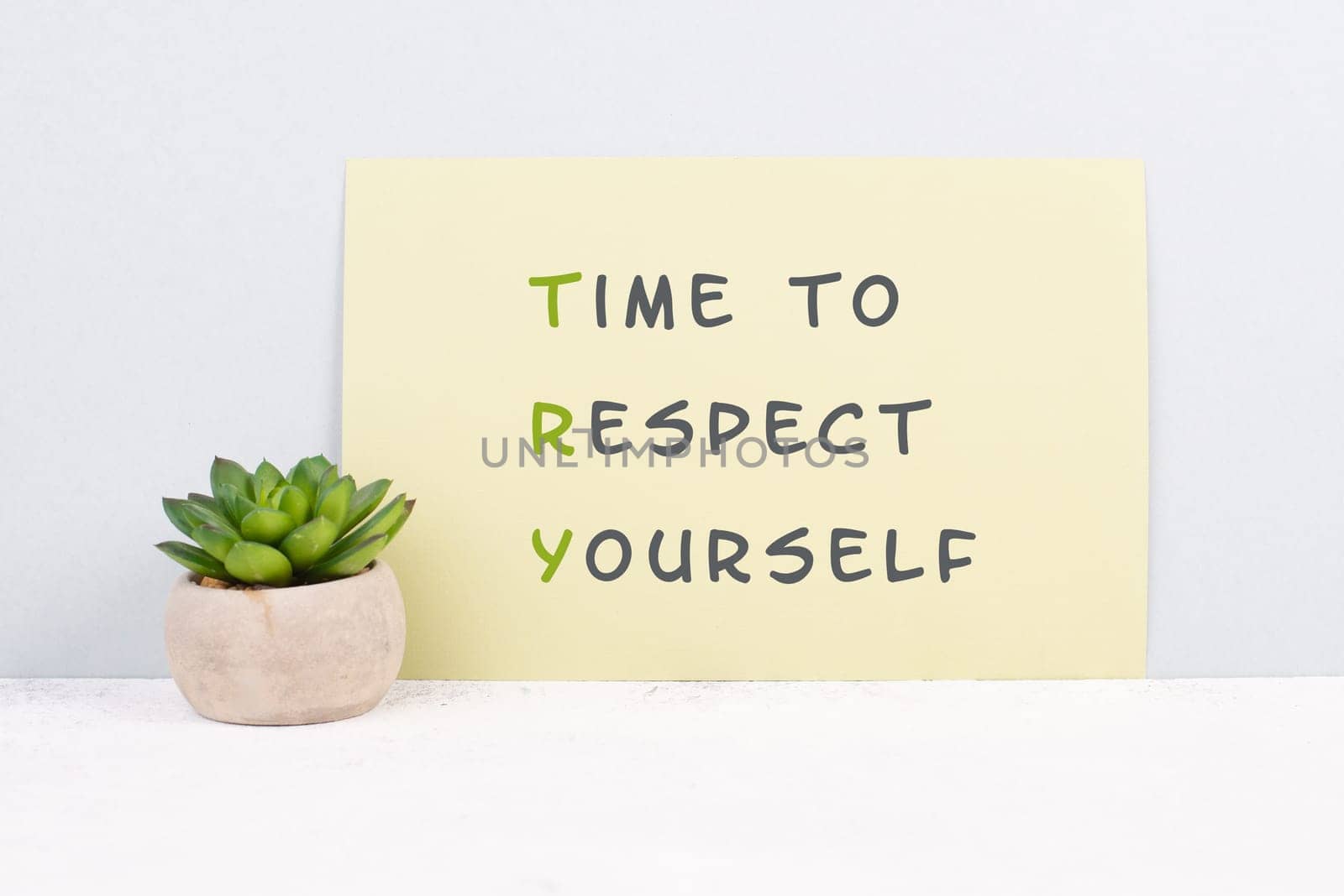 The words time to respect yourself are standing on paper, responsibility and development, motivation concept, cactus plant beside the message