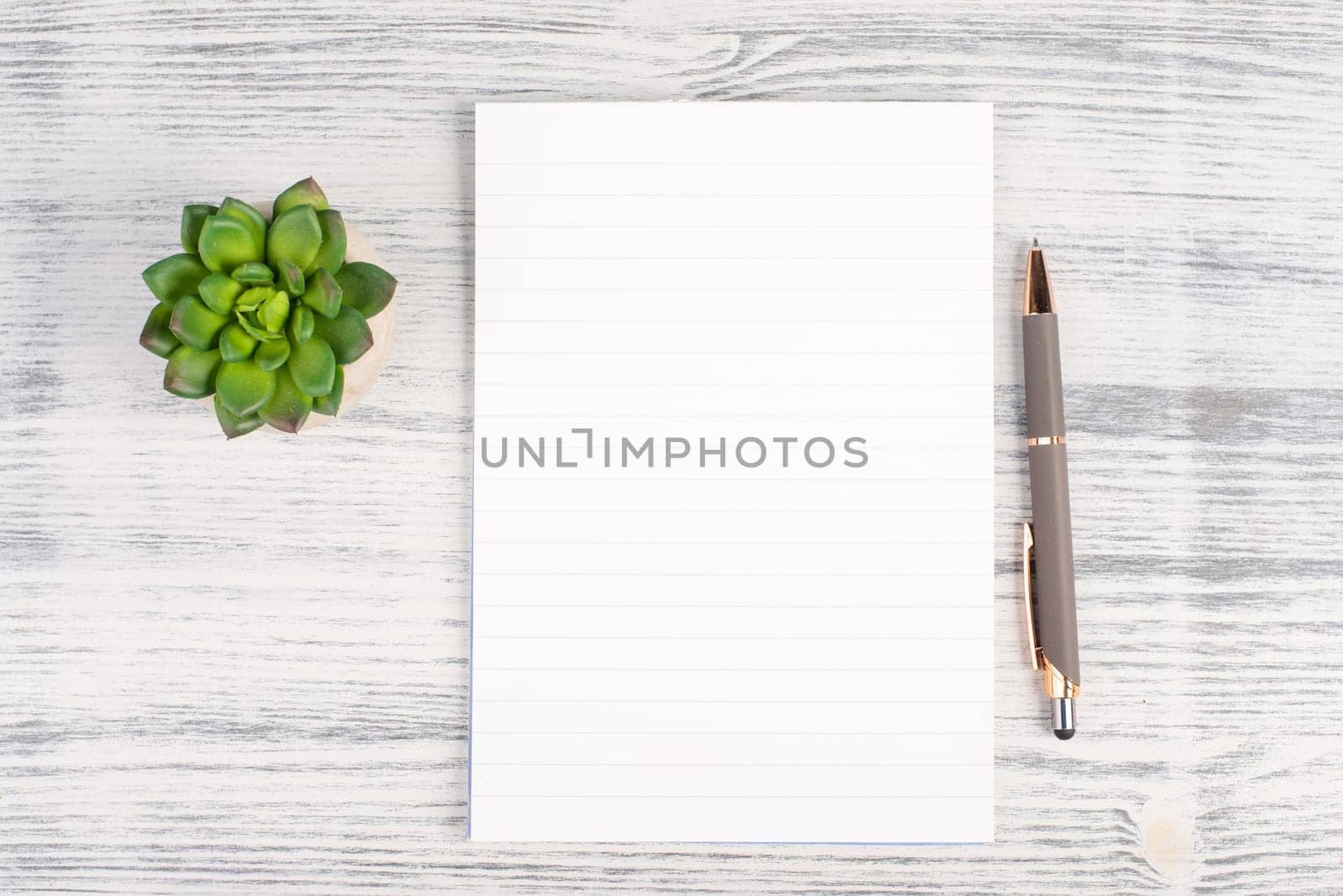 Empty paper with a pen and a cactus textured background, brainstorming for new ideas, writing a message, taking a break, home office desk