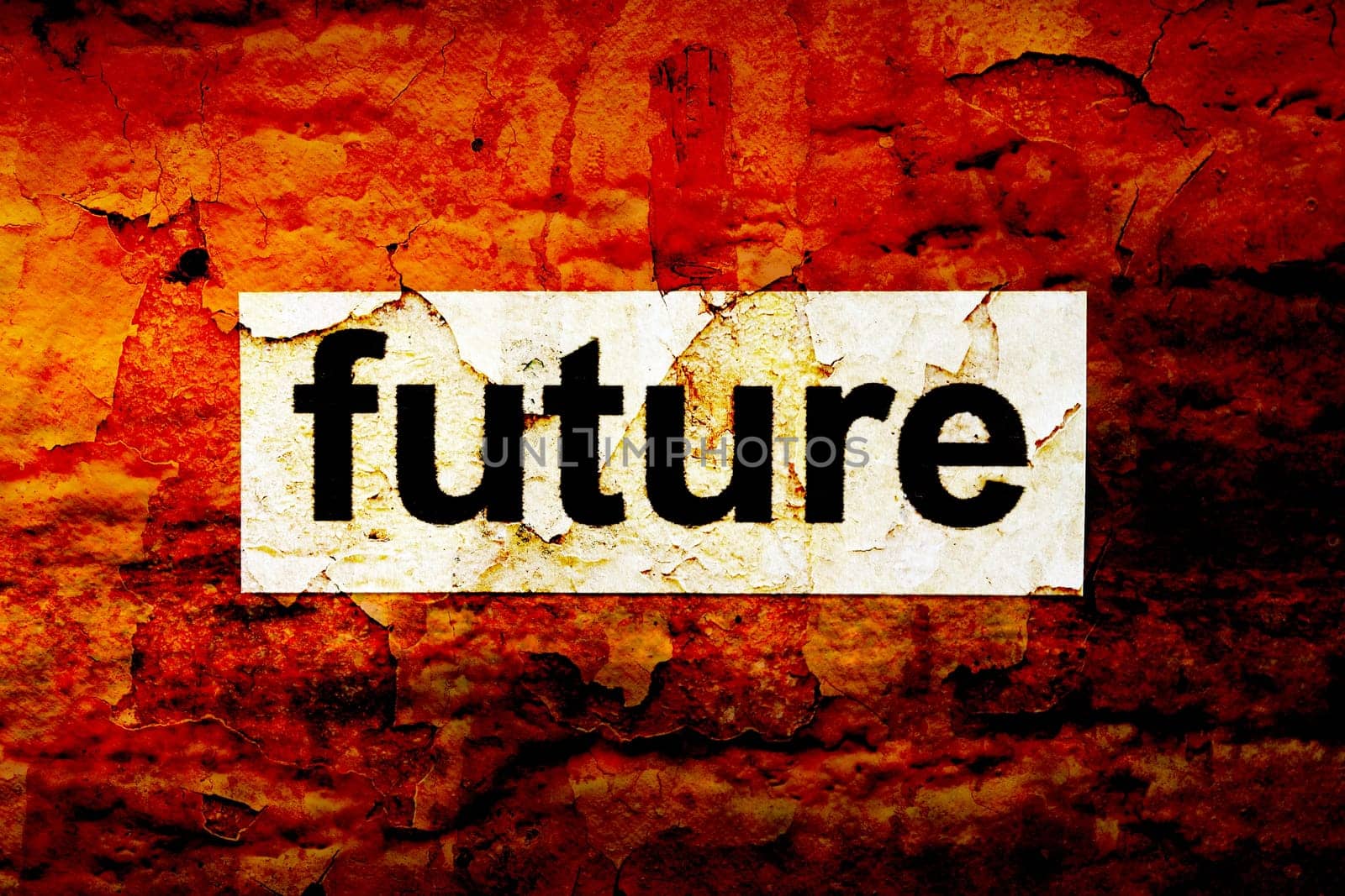 Future