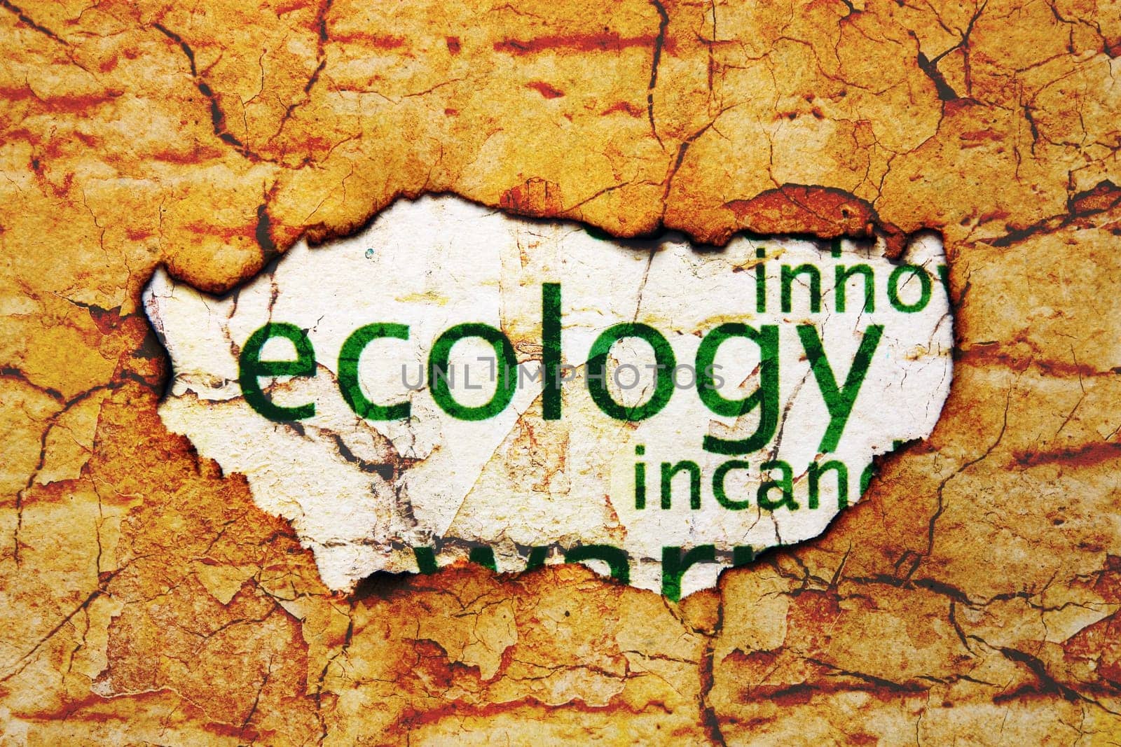 Ecology