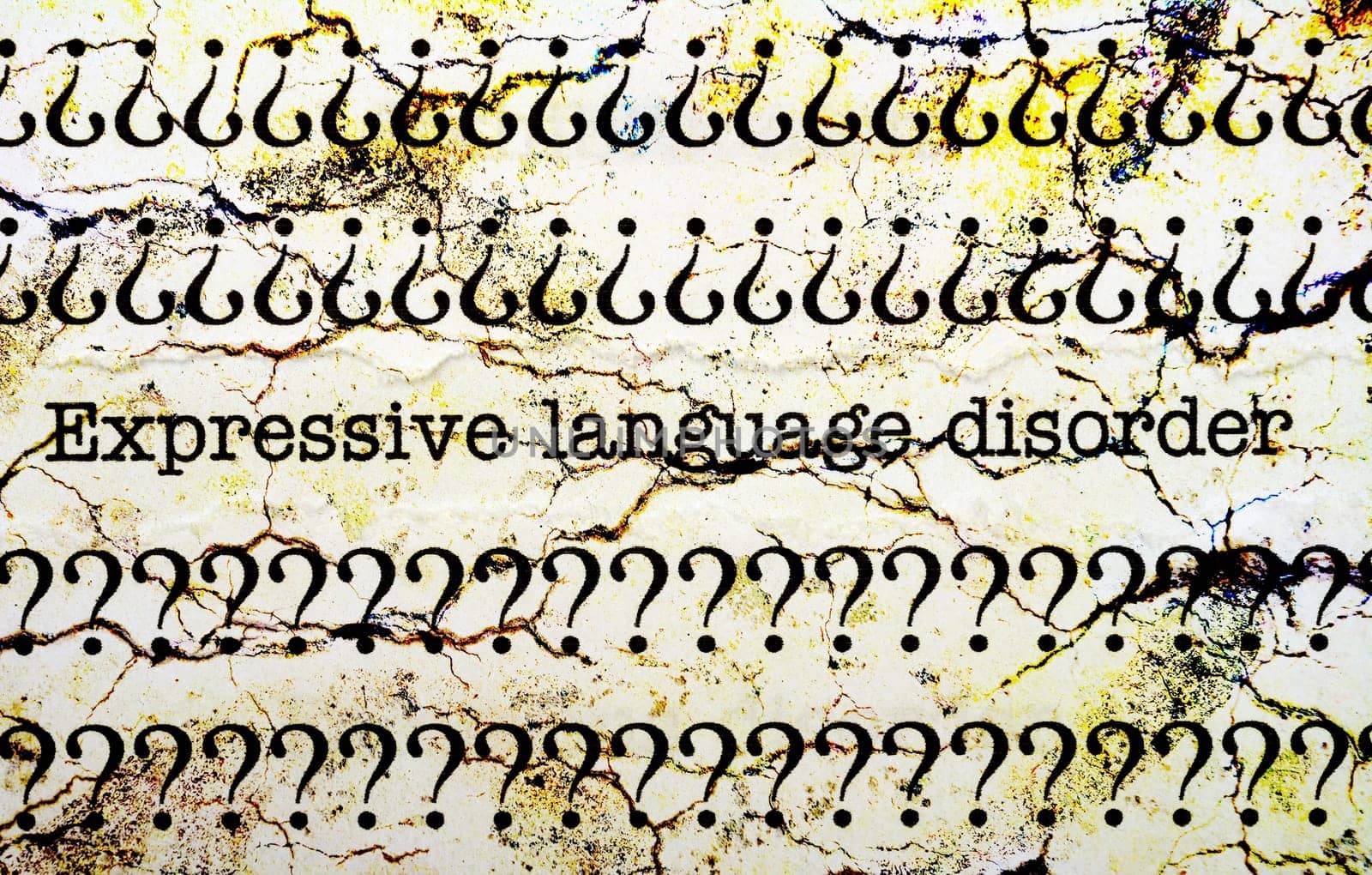 Expressive language disorder