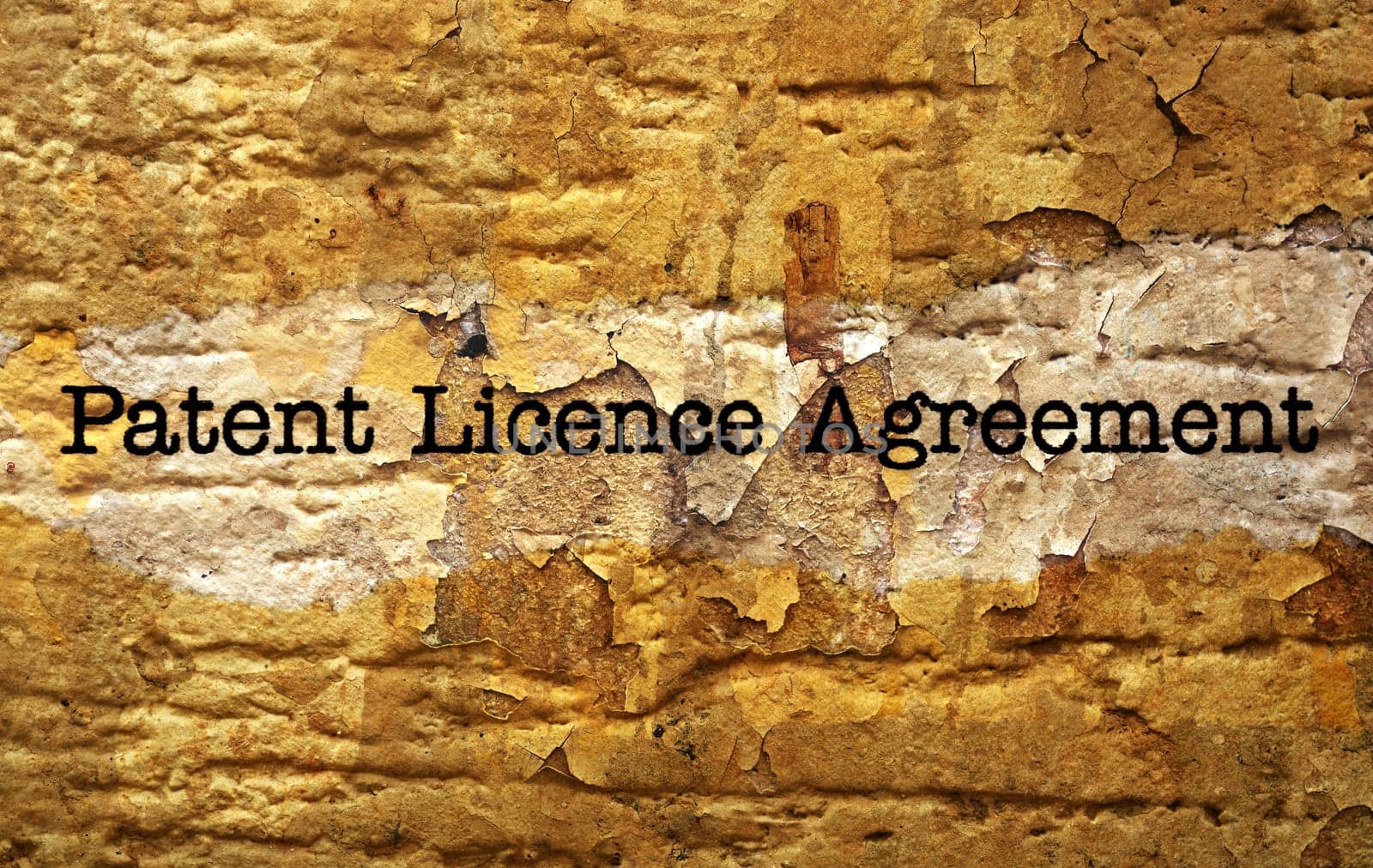 Patient license agreement