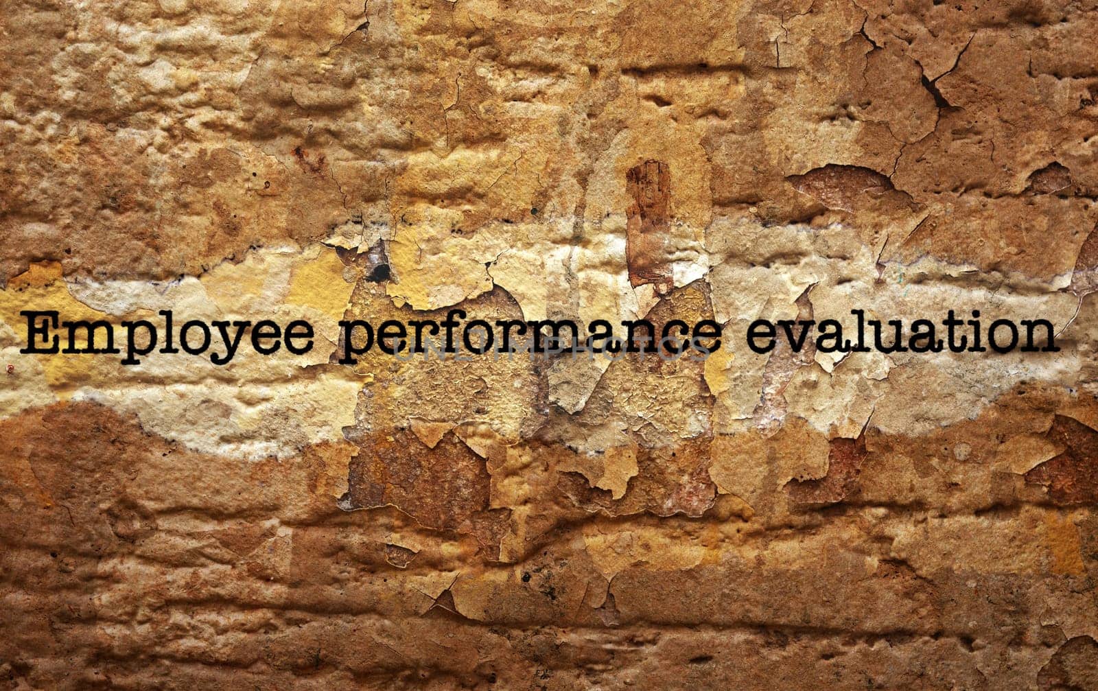 Employee performance evaluation
