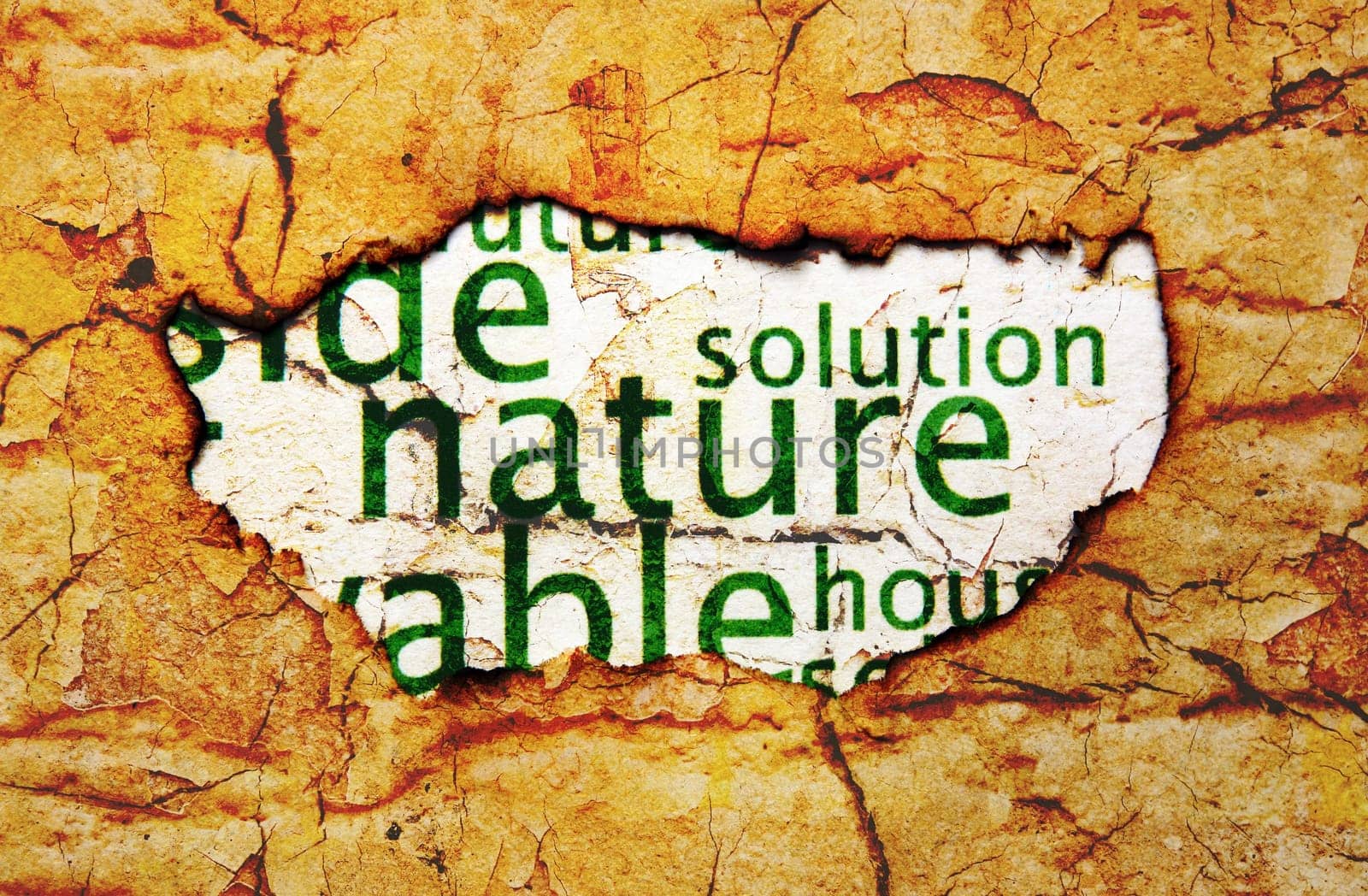 Nature paper hole