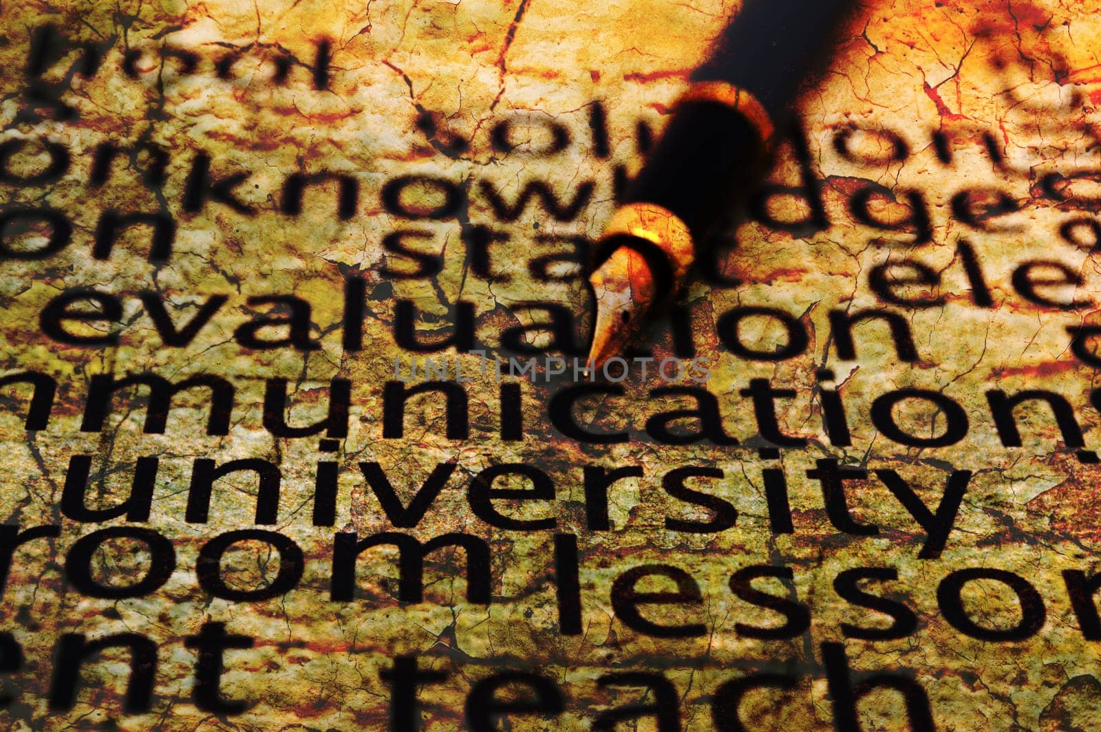 University concept
