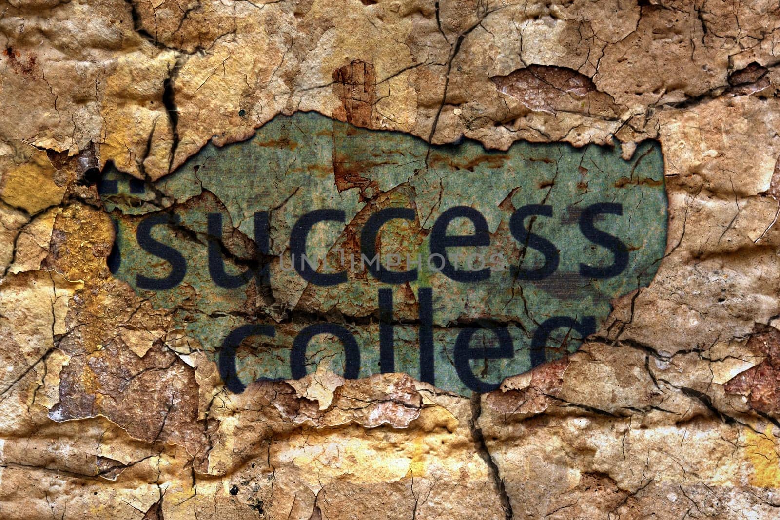 Success text on paper hole