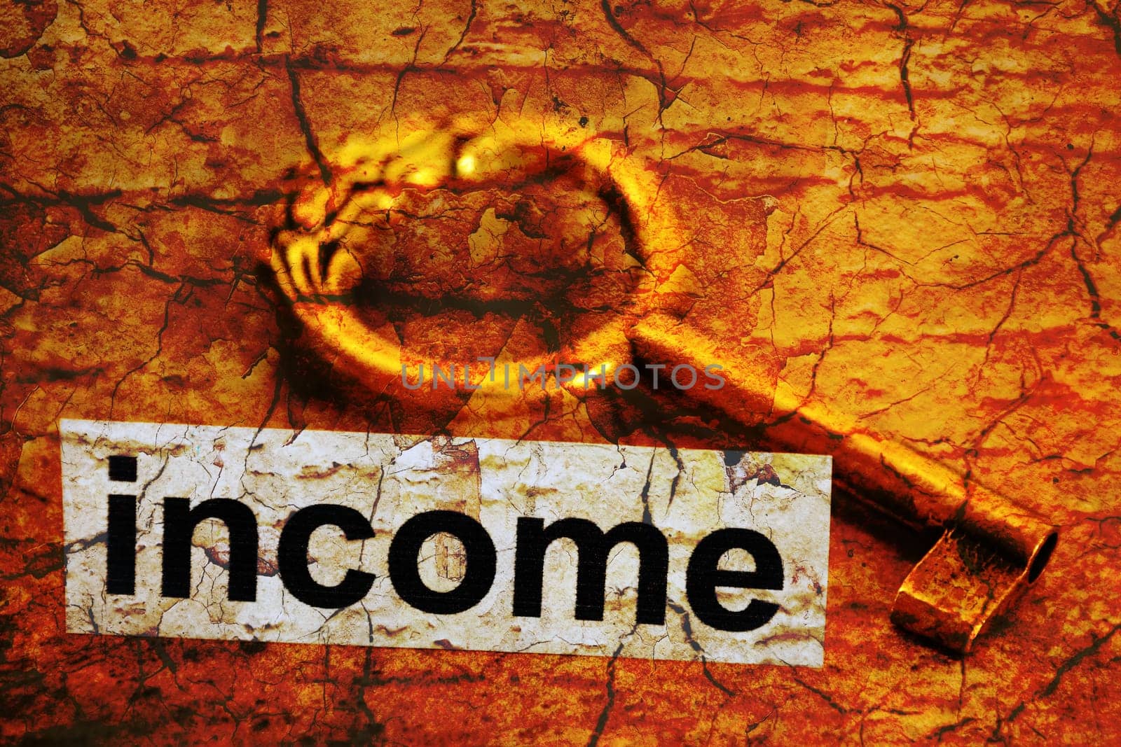 Income concept