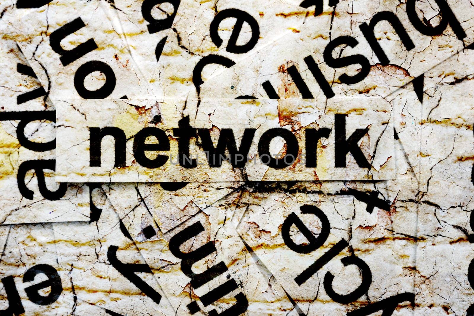 network word cloud