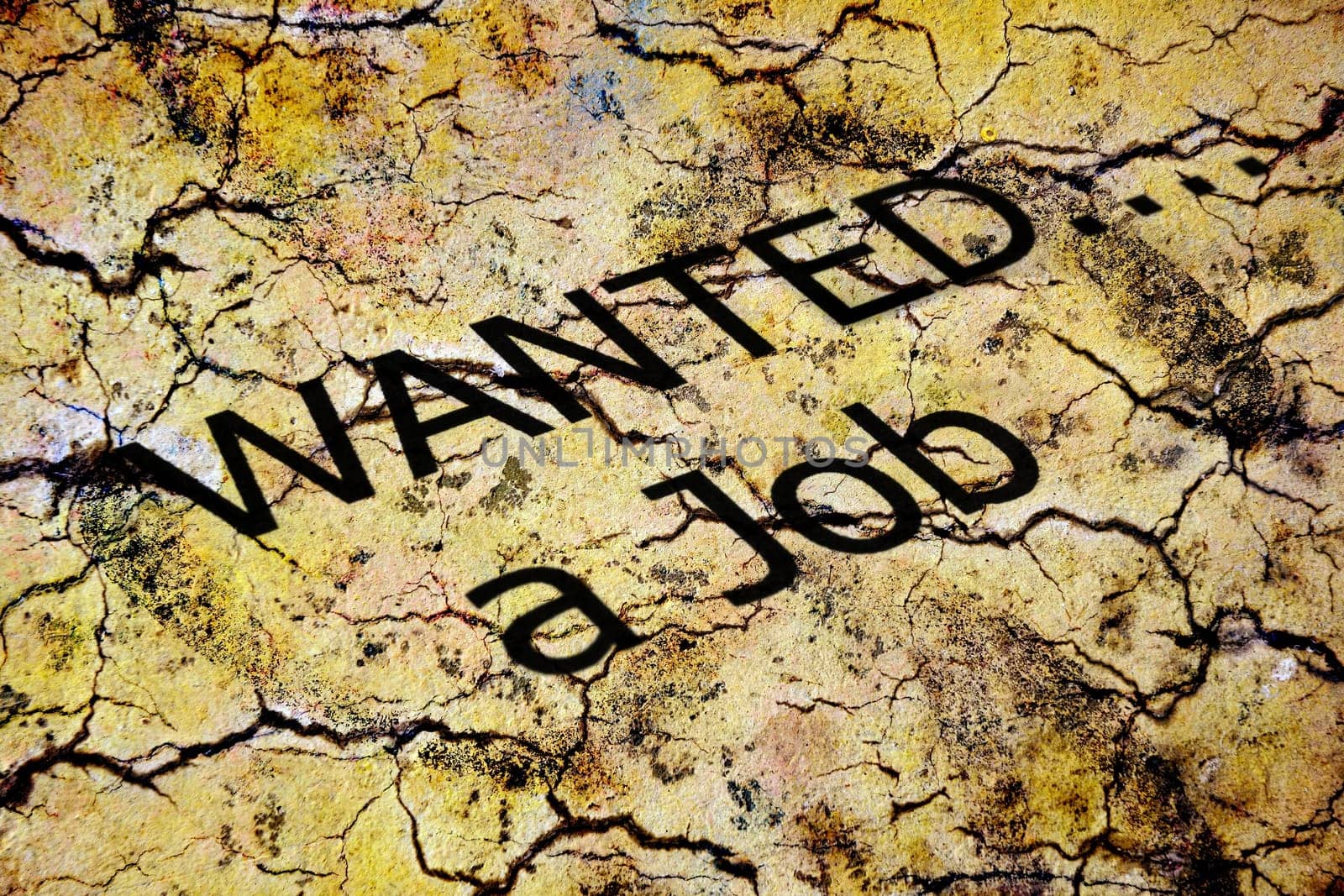Job wanted