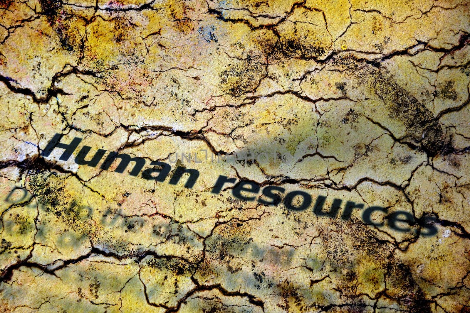 Human resources