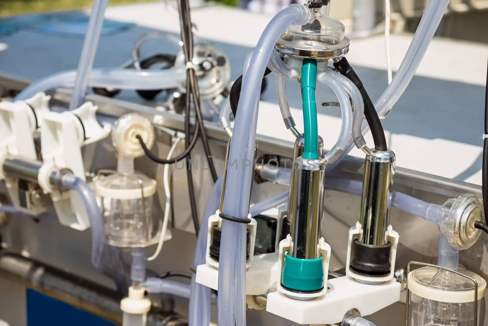 Automated mechanized milking equipment closeup for farmland industry