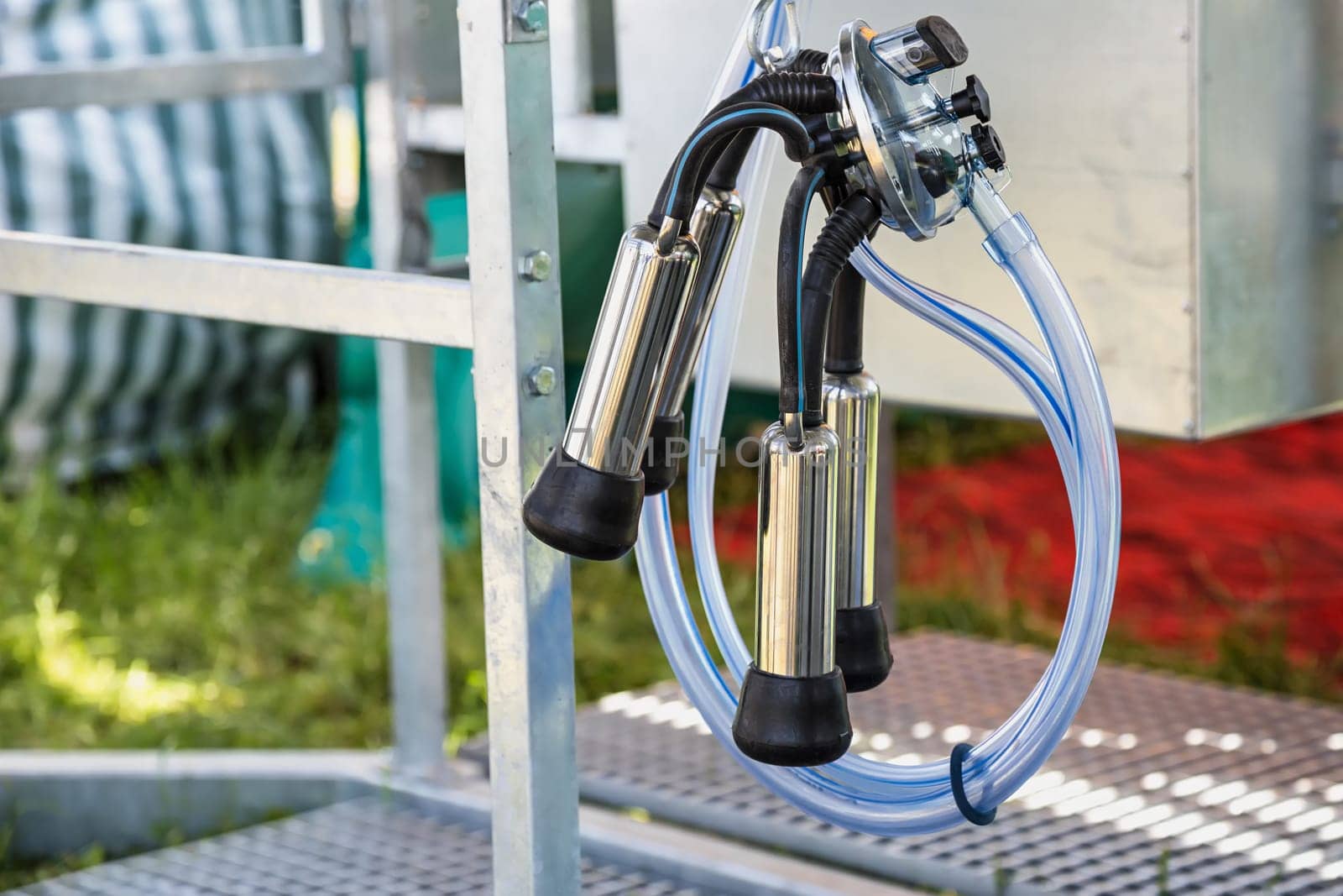 Automated mechanized milking equipment closeup for farmland industry