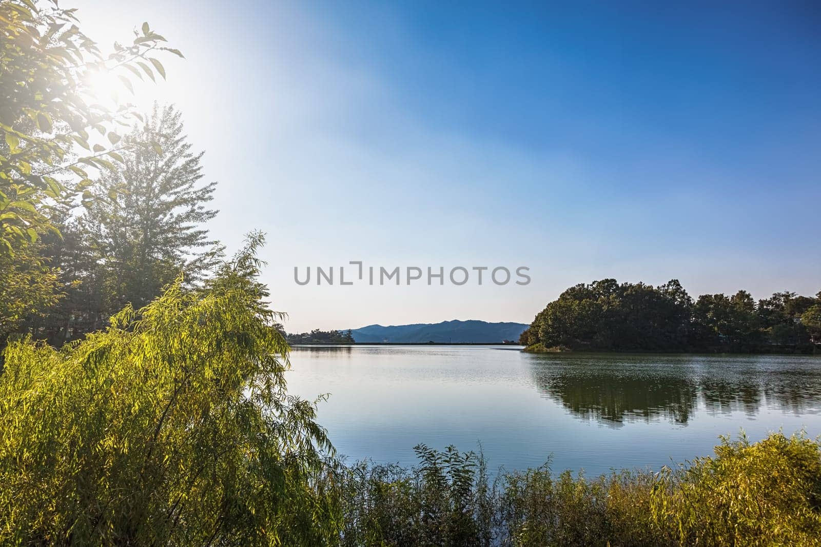 Lake or pond landscape and trees reflection on water with sun light
