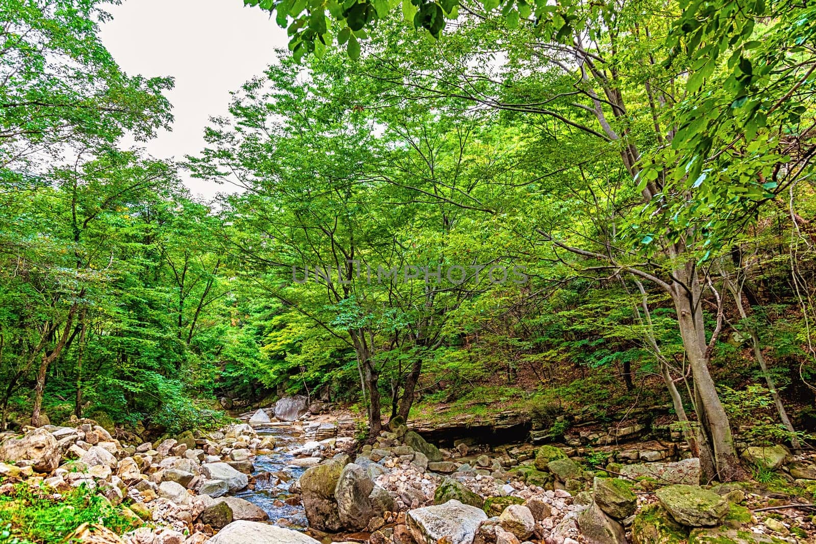 River with rocks and stones in mountain forest in South Korea