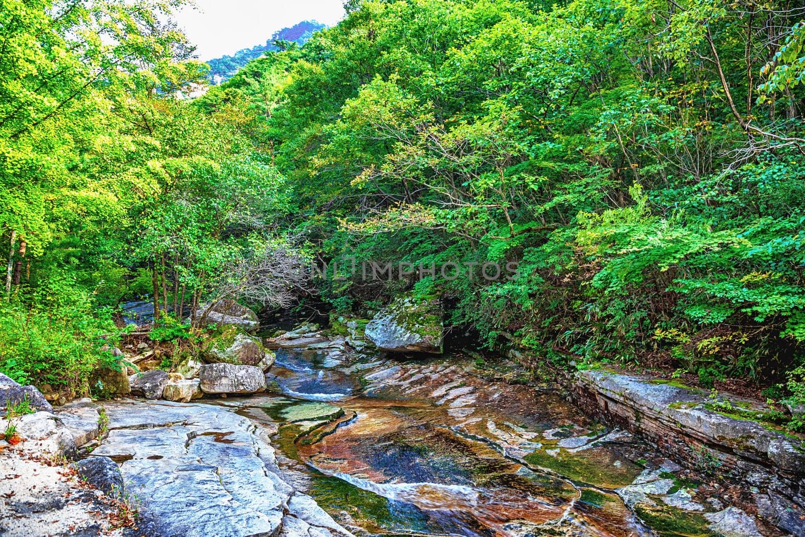 River with rocks and stones in mountain forest in South Korea
