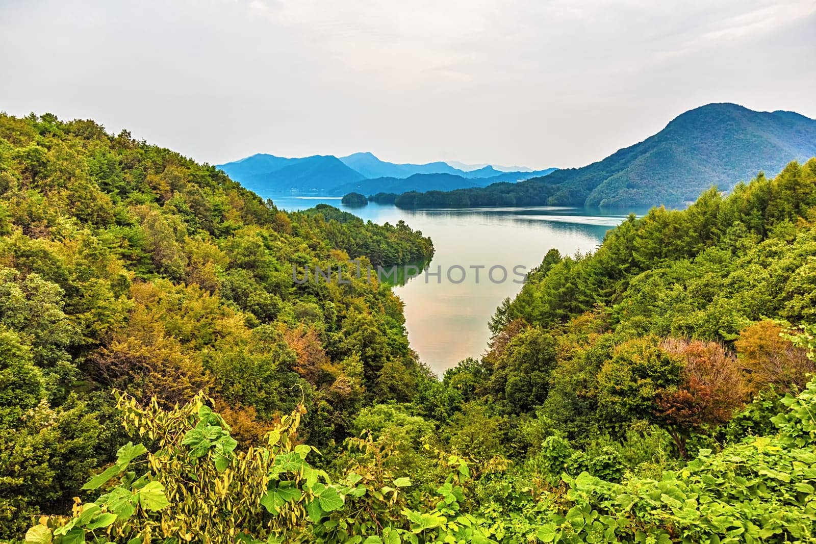 Mountains with green trees and lake landscape in South Korea