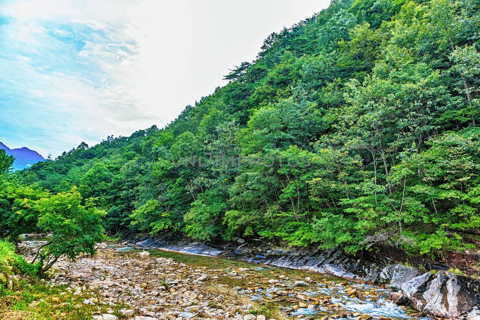 River with rocks and stones in mountain forest in South Korea