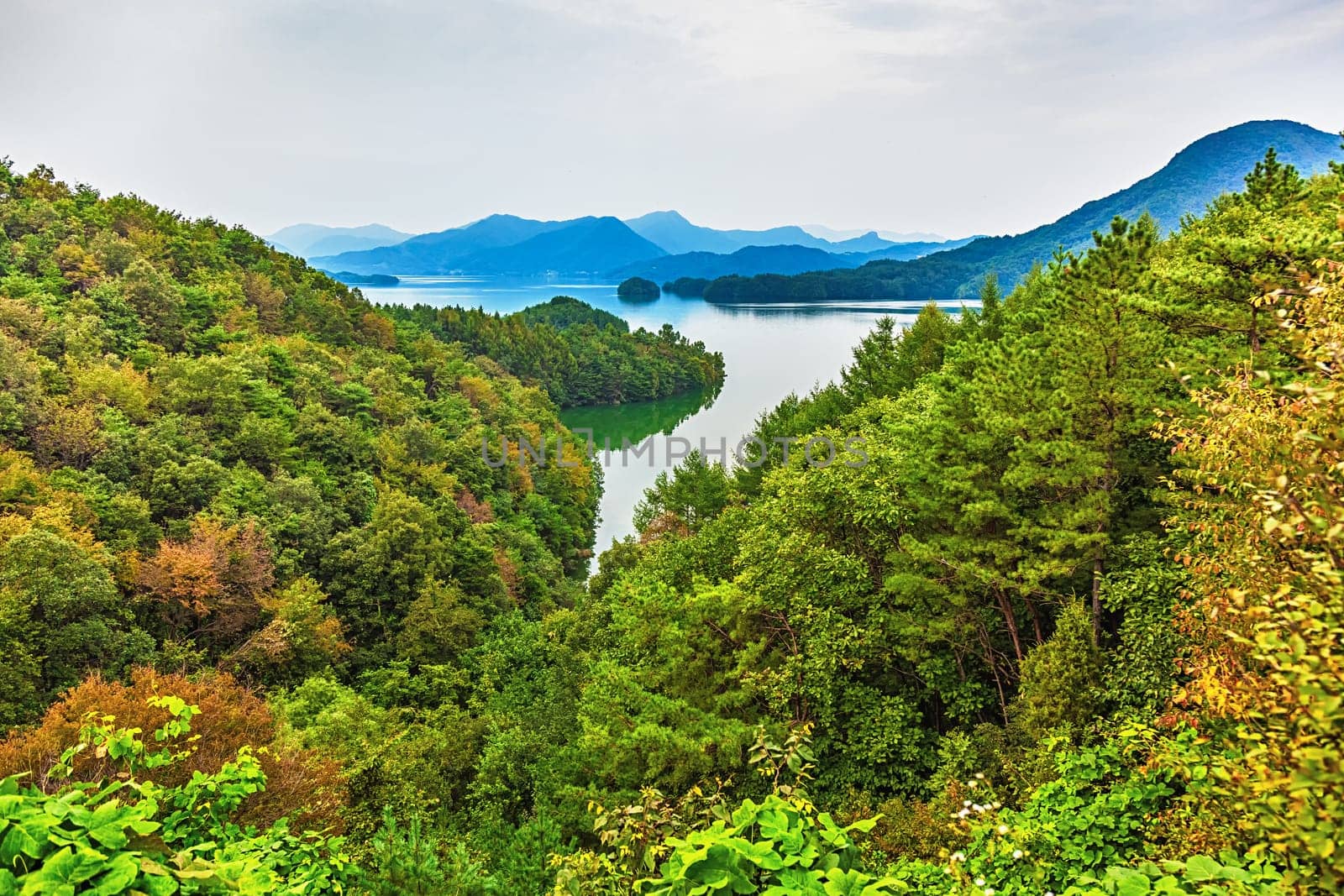 Mountains with green trees and lake landscape in South Korea