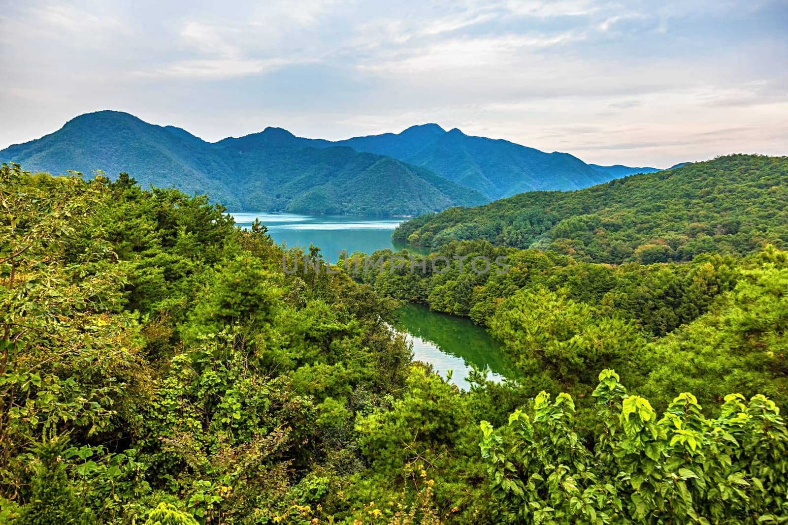Mountains with green trees and lake landscape in South Korea