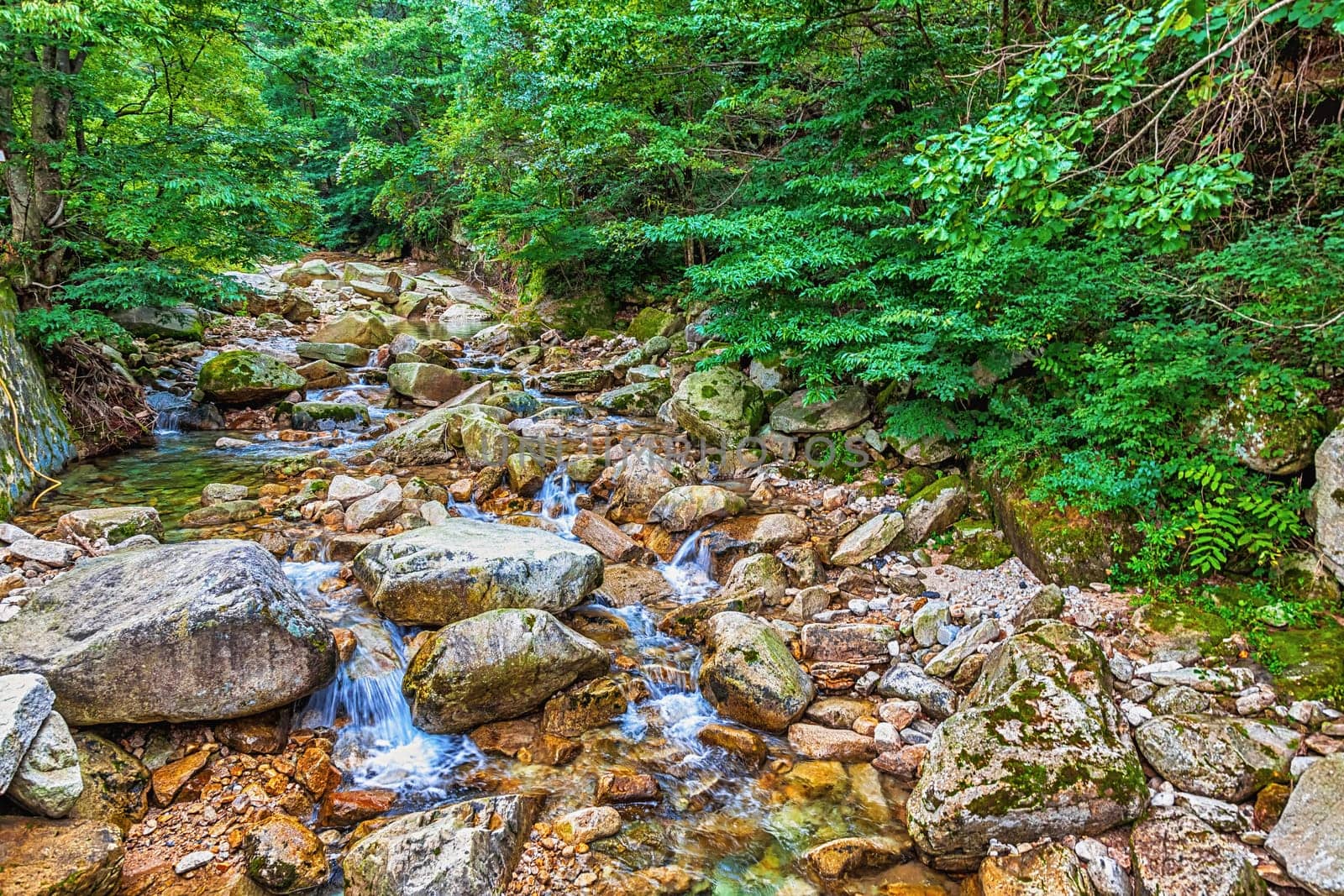 River with rocks and stones in mountain forest in South Korea