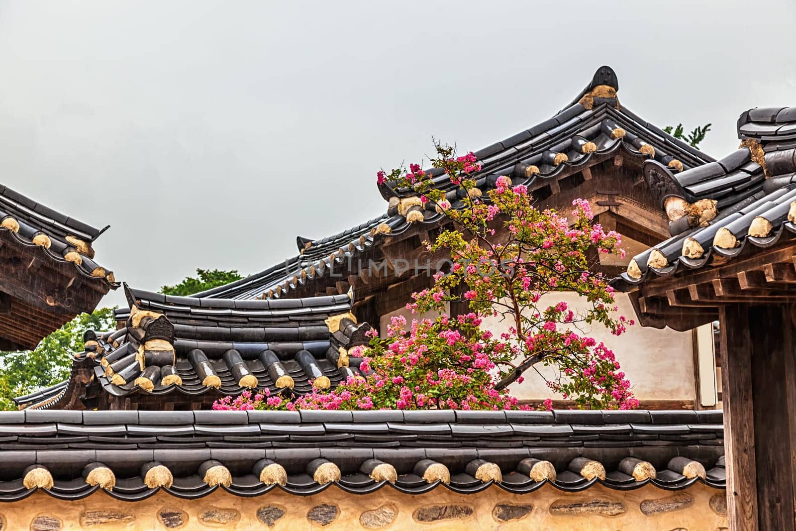 Traditional old korean architecture building with tree and pink flowers at rainy day in South Korea