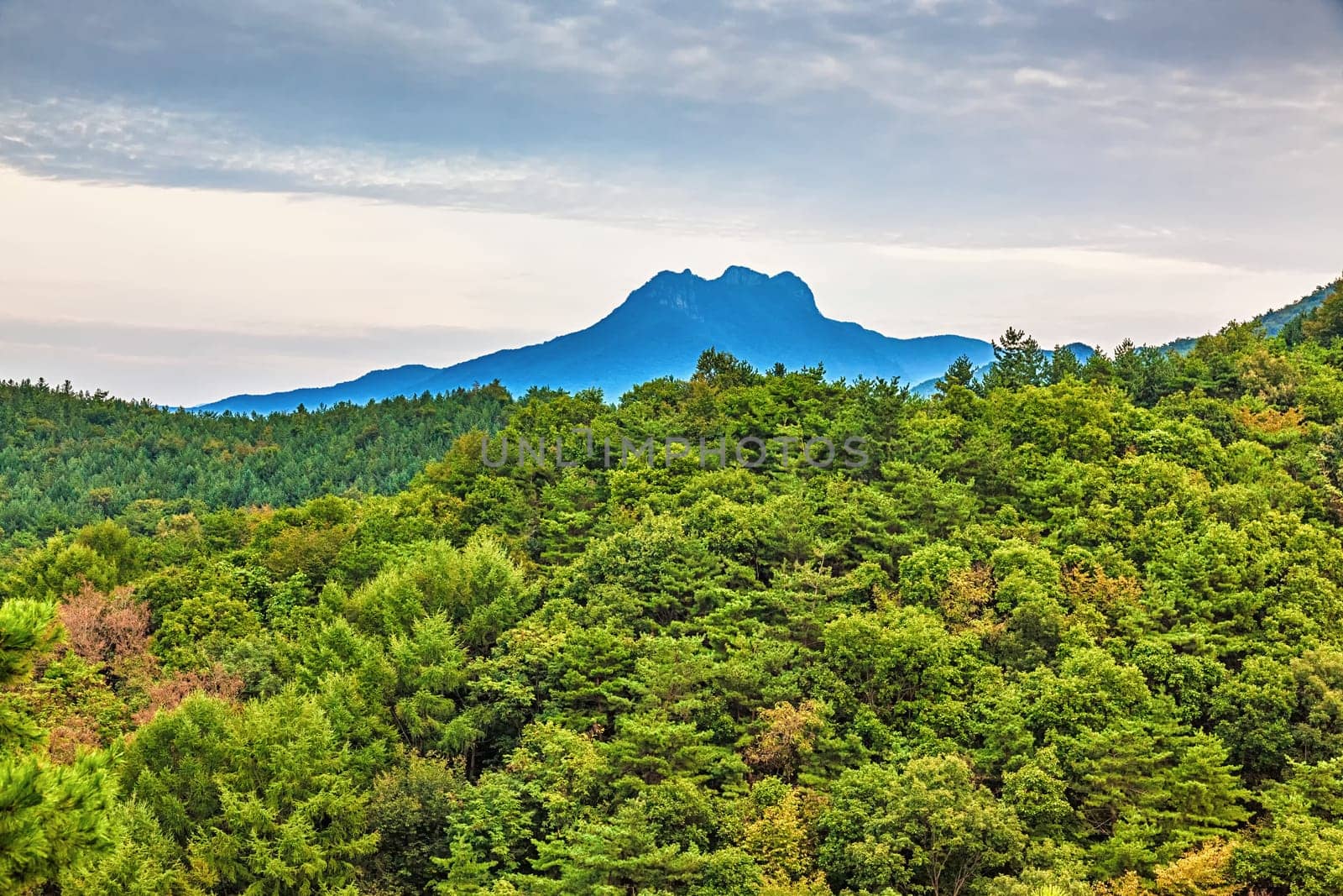 Mountains with green trees landscape in South Korea