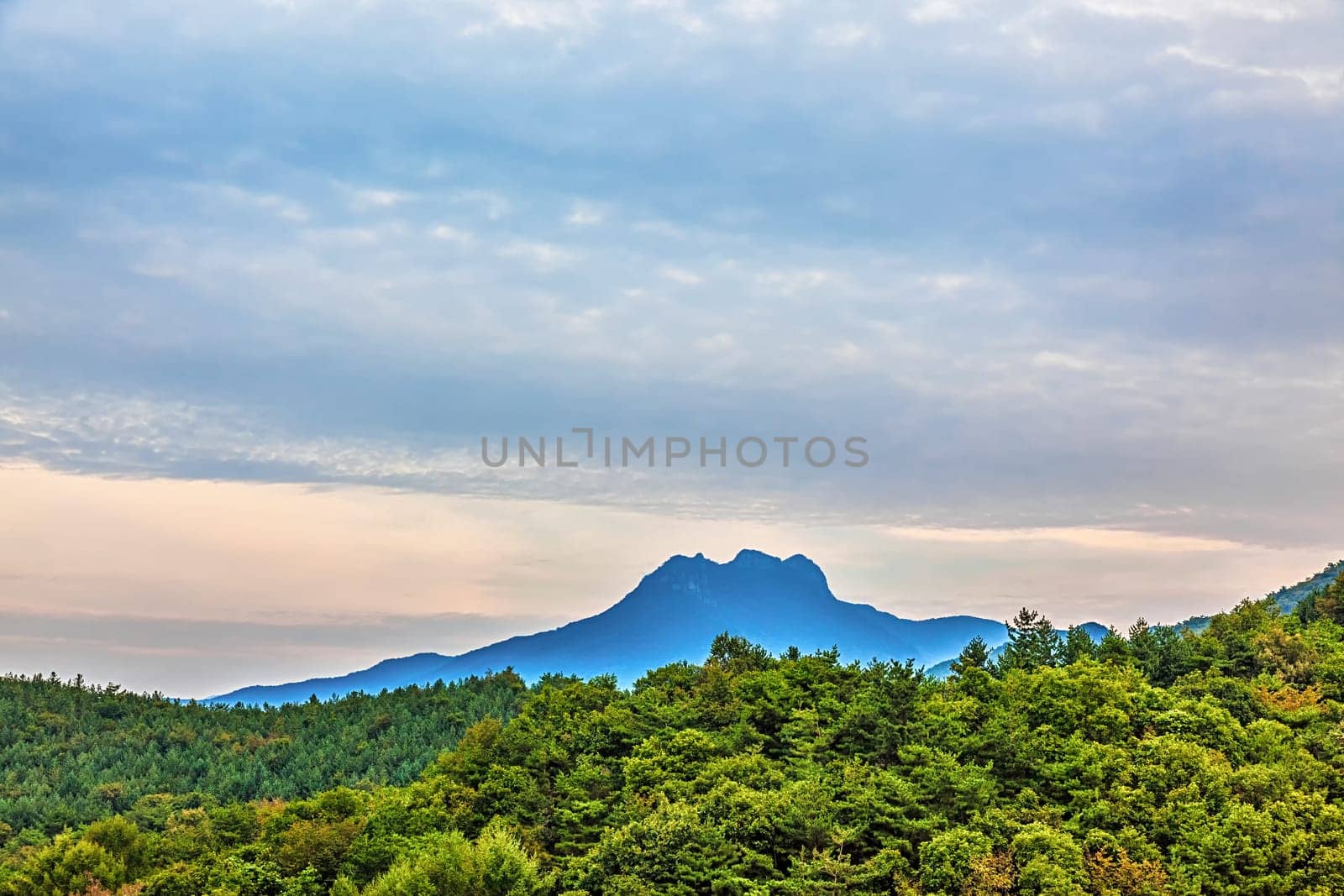 Mountains with green trees landscape in South Korea