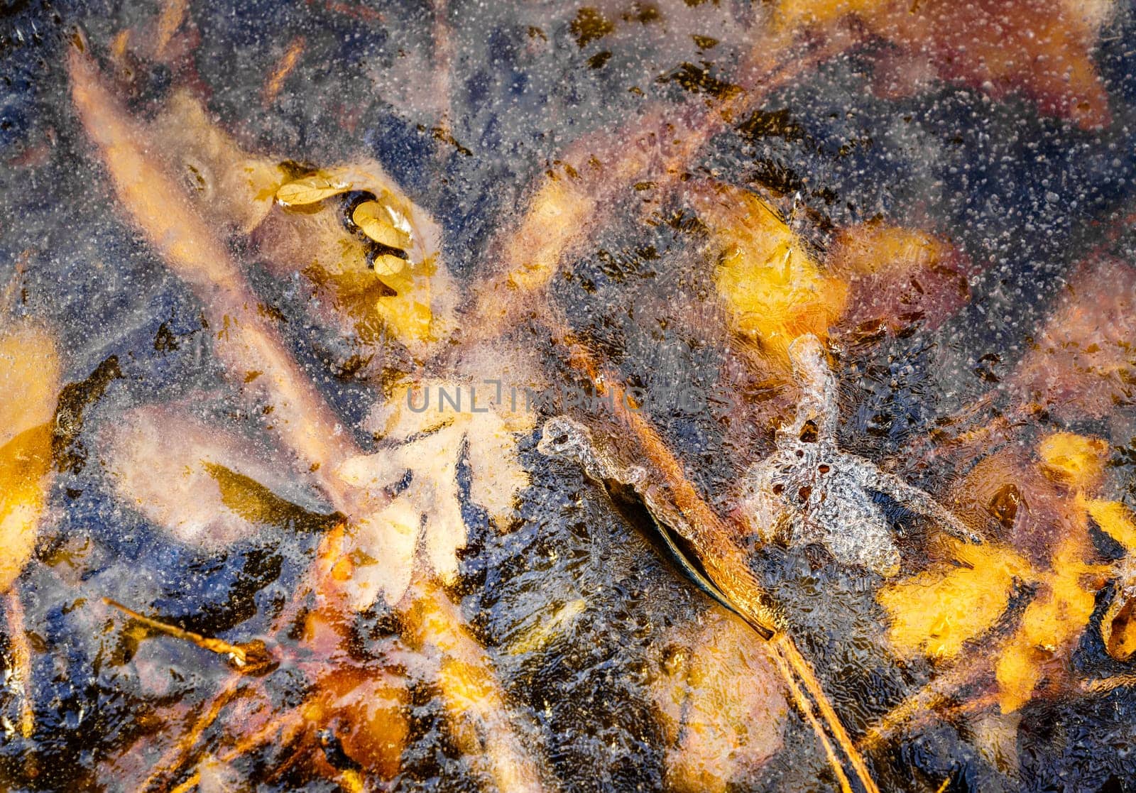Close-up image of ice patterns in a creek in Grasshopper Canyon in New Mexico