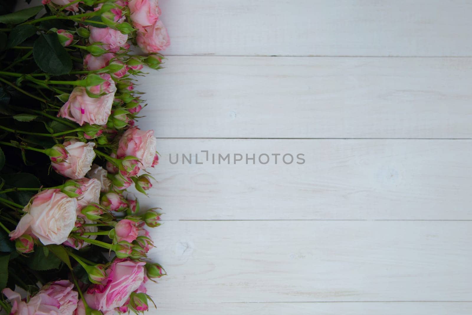 A large bouquet of pink roses blooming and buds lie on a white tree background with a place for text. High quality photo