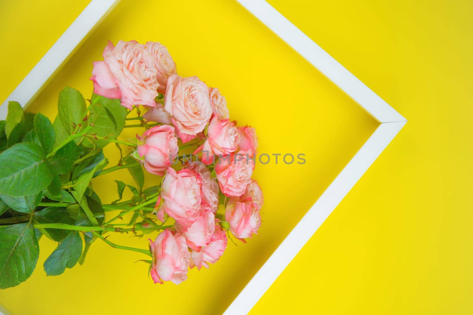 On a bright yellow background there is a white frame and a bouquet of pink roses in it. High quality photo