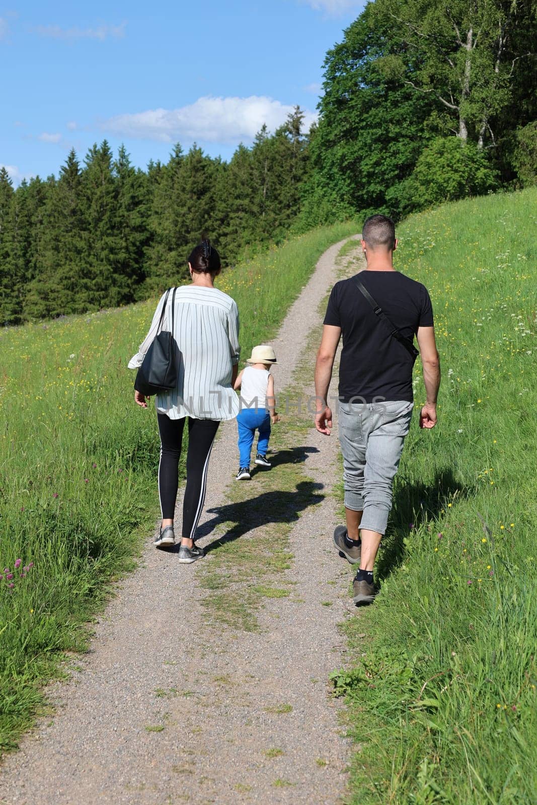 A young family with children enjoys the beauty of nature and the Black Forest landscape during a walk near Hinterzarten (district Breisgau-Hochschwarzwald)