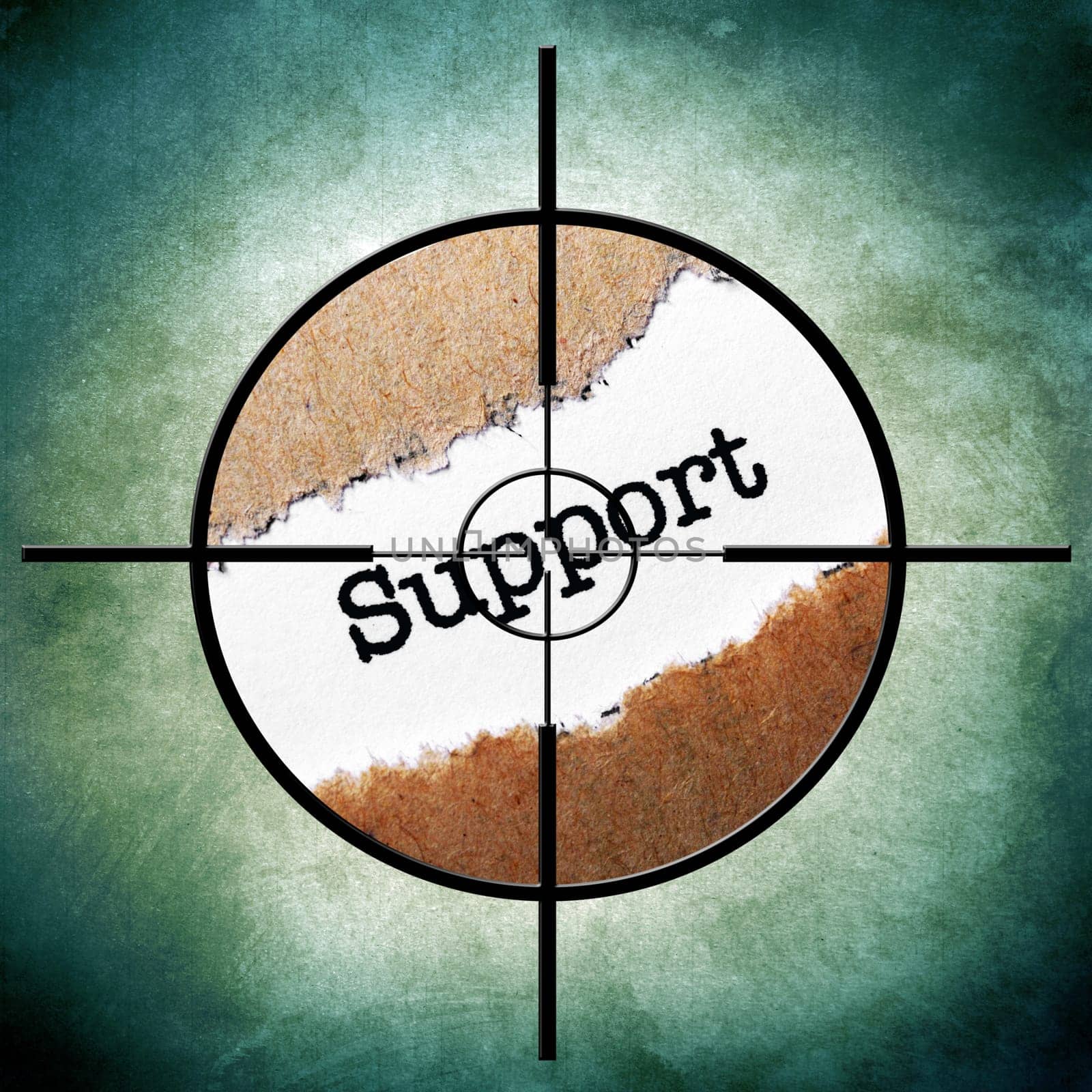 Support target