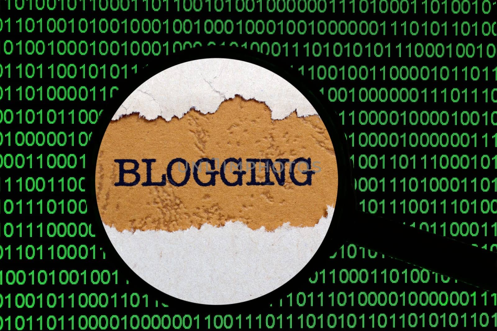 Search for blog