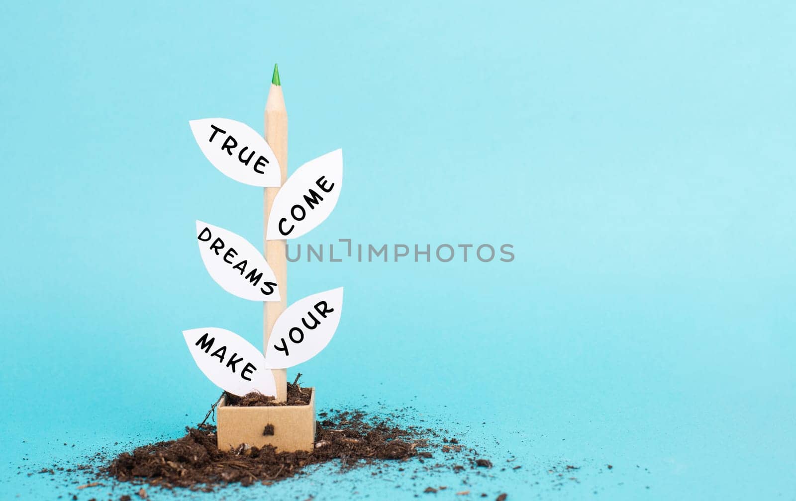 The phrase make your dreams come true is standing on the leaves of the plant, futuristic vision, positive mindset, motivation and coaching concept, follow your idea