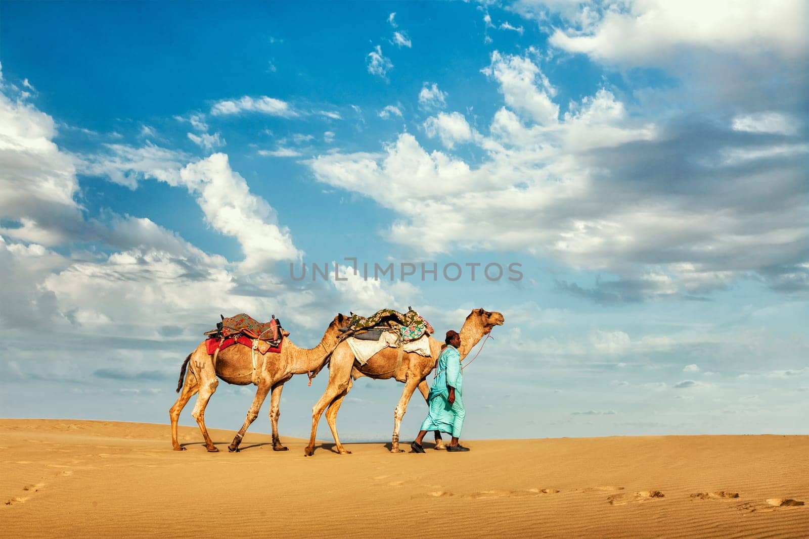 Rajasthan travel background - Indian cameleer (camel driver) with camels in dunes of Thar desert. Jaisalmer, Rajasthan, India