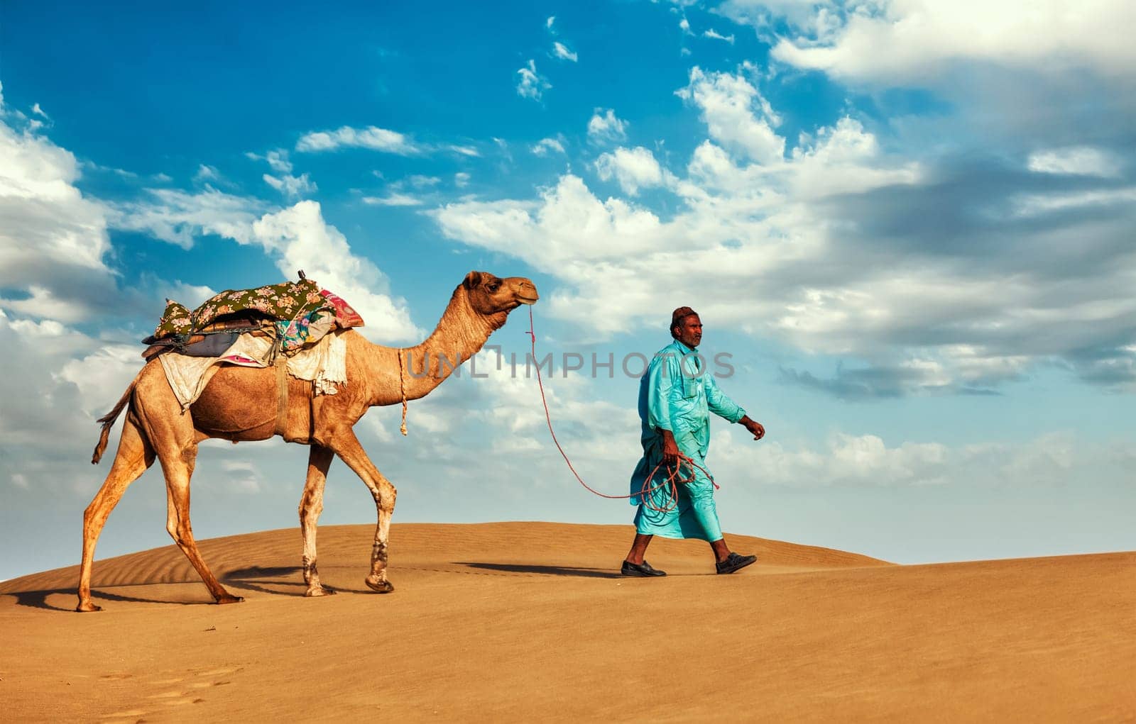 Rajasthan travel background - Indian cameleer (camel driver) with camels in dunes of Thar desert. Jaisalmer, Rajasthan, India