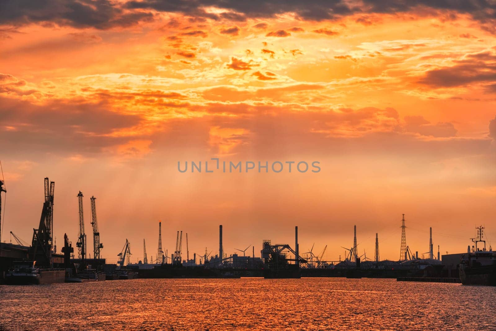 Port of Antwerp crane silhouettes on sunset. Antwerp, Belgium