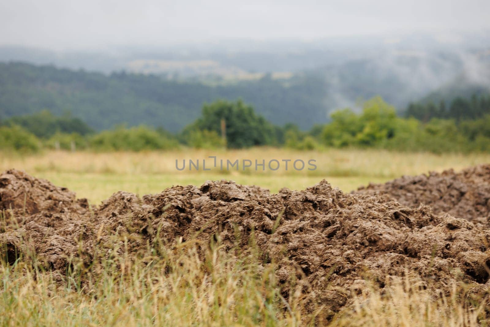 large heap of manure, organic fertilizer