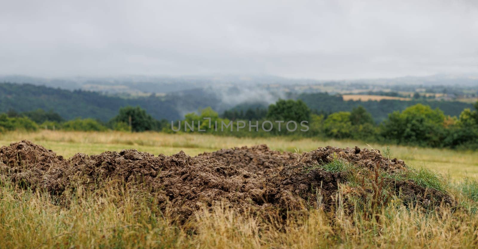 large heap of manure, organic fertilizer panoramic