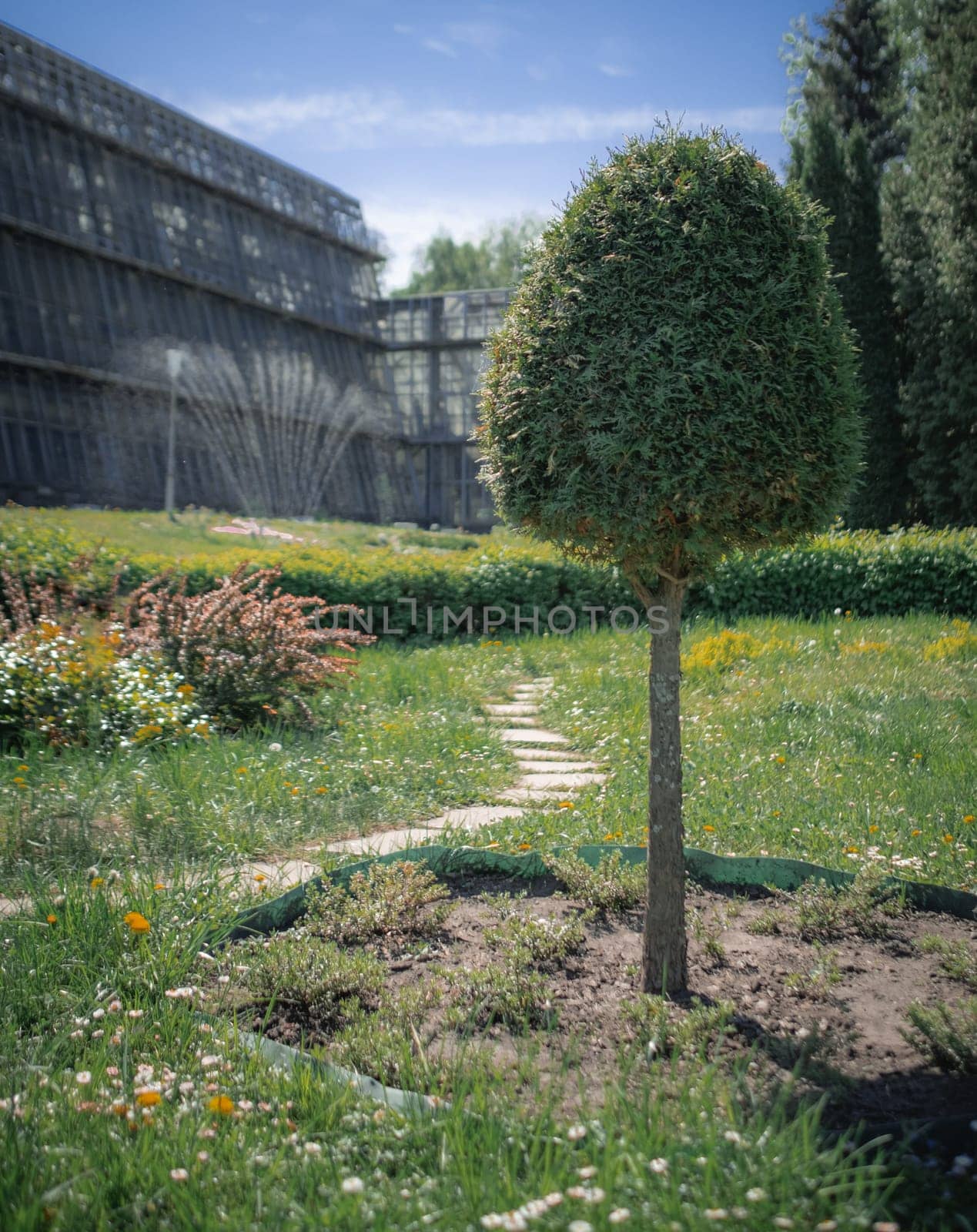 A landscape with well-groomed tree on the botanical greenhouse background