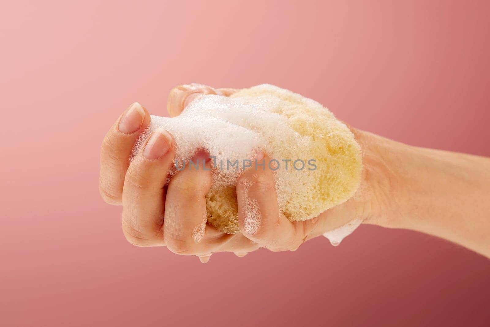 Woman squeezes out a yellow sea sponge on pink colored background.