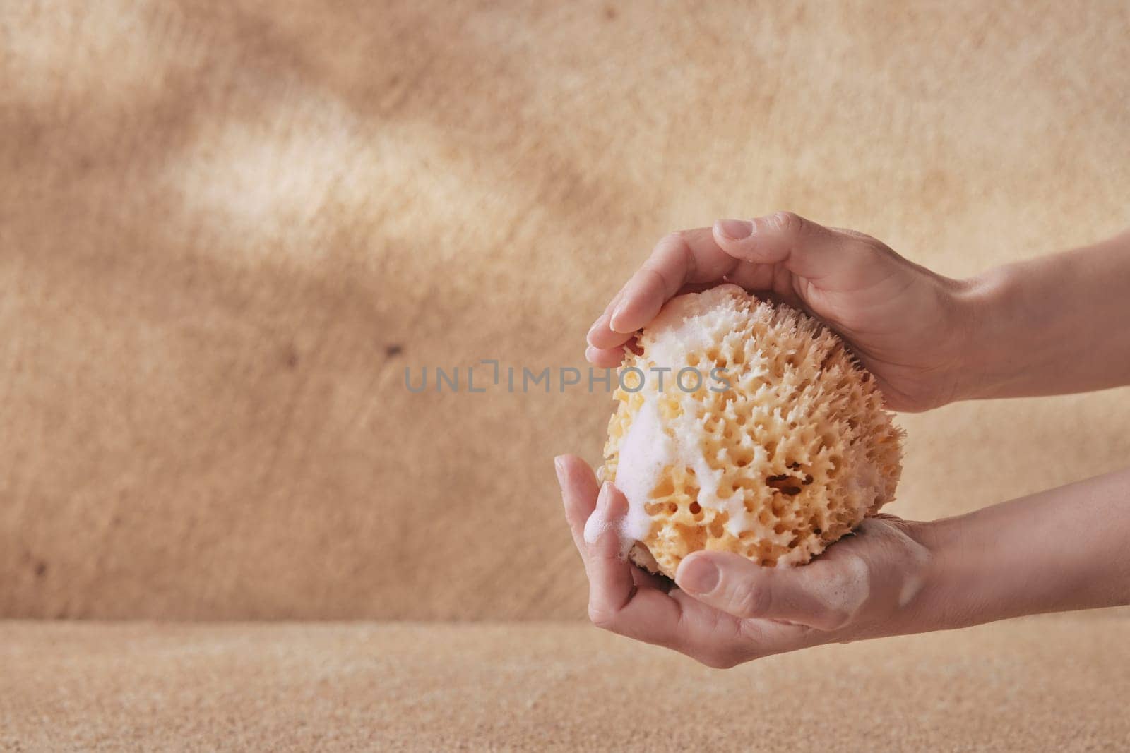 A natural sea sponge in hands of young woman with foam on beige background for spa and massage concepts. Wellness photography with copy space.