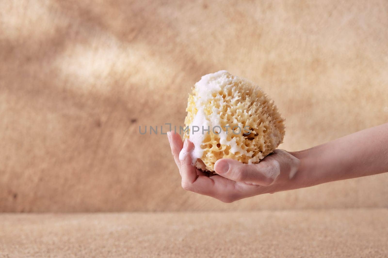 Womans hands holding natural sea sponge with foam on beige background.
