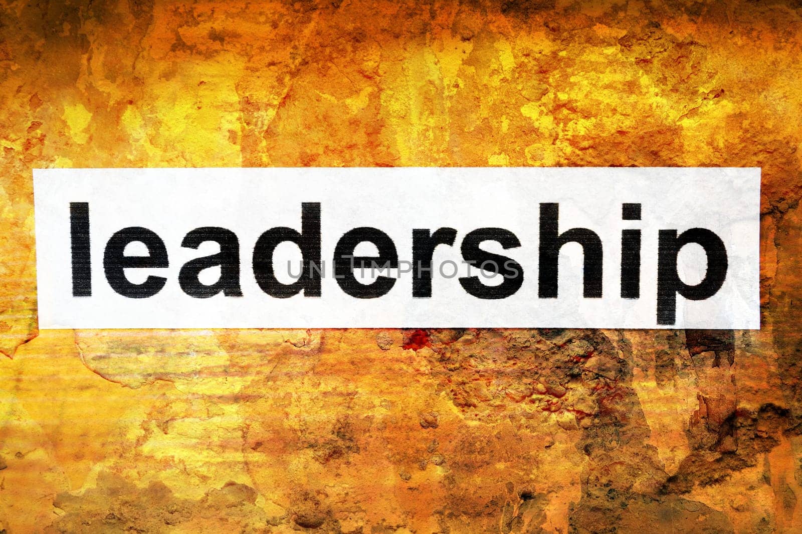 Leadership