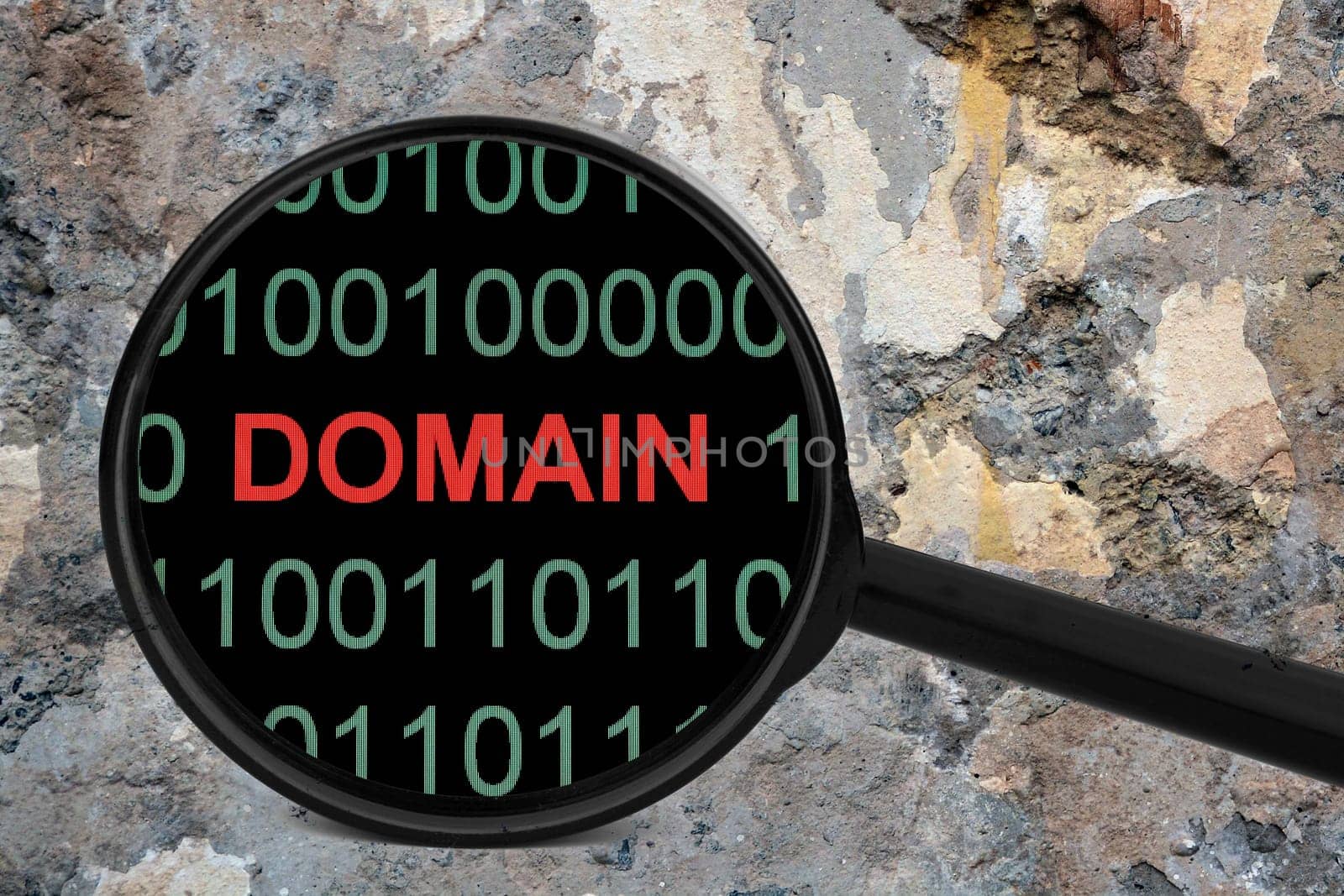 Web domain