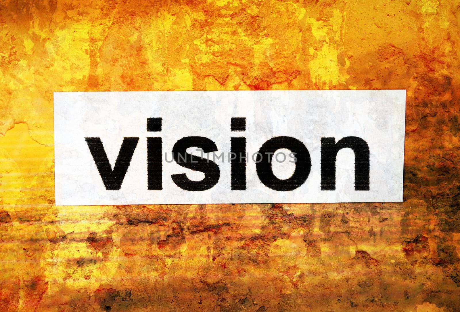Vision